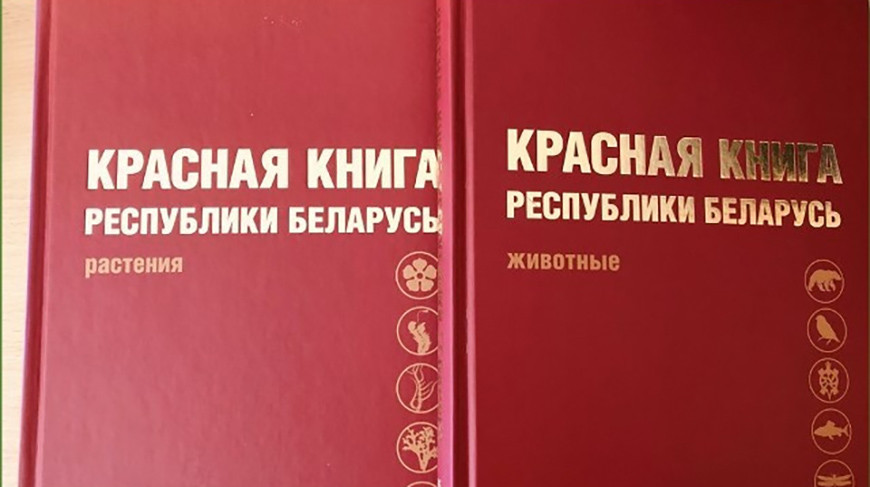 Фото Минприроды Фото Минприроды