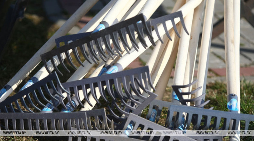 Общегородской субботник проведут 7 марта в Бресте