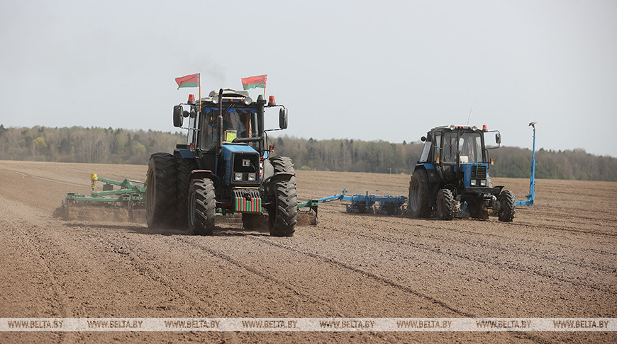 Over 46% of spring crops planted in Belarus